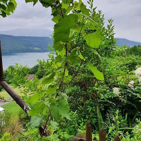 Haus Starfach * דובריאך