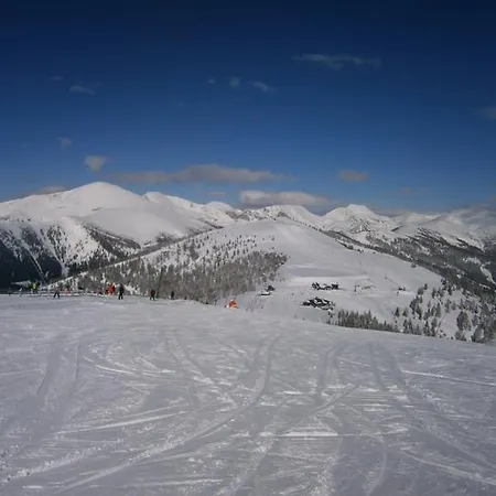 Apartment Haus Starfach Dobriach