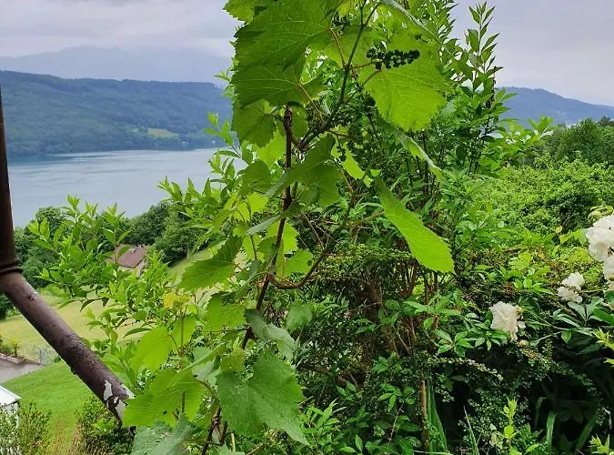 Haus Starfach * Döbriach